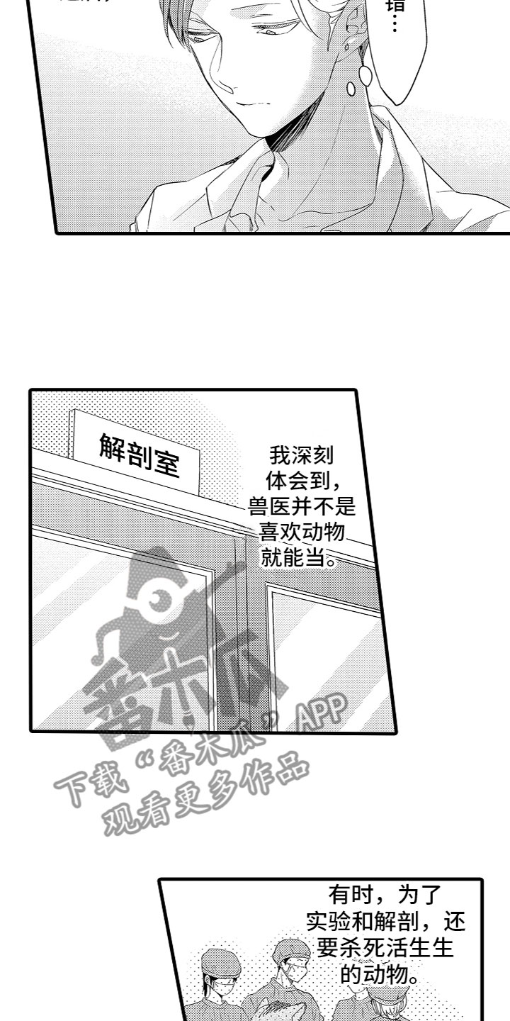 第11章：下定决心7