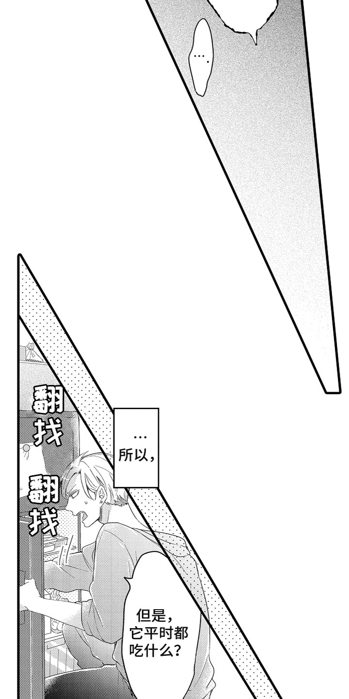 第9章：投喂食物7