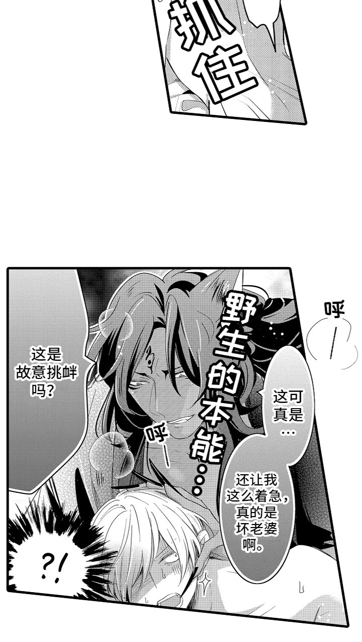 第13章：慢慢适应16