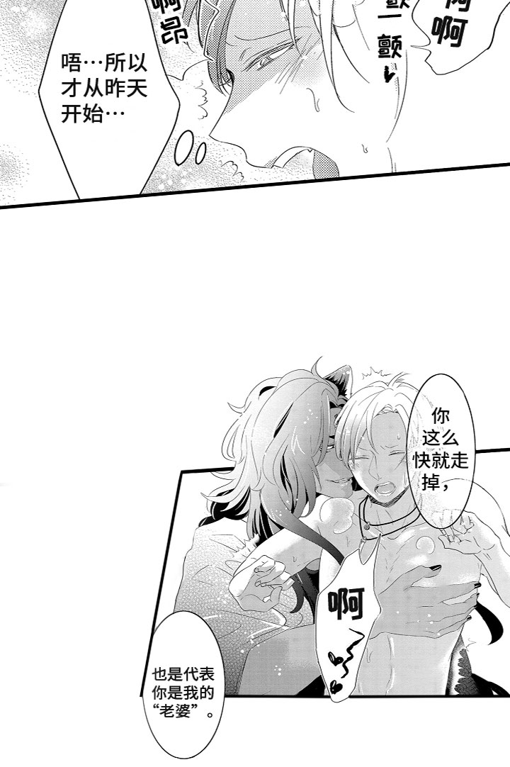 第8章：我的老婆15
