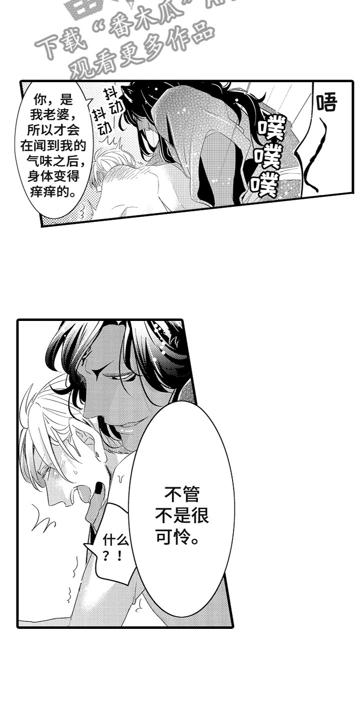 第8章：我的老婆13