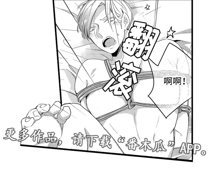 第19章：样子真不错17