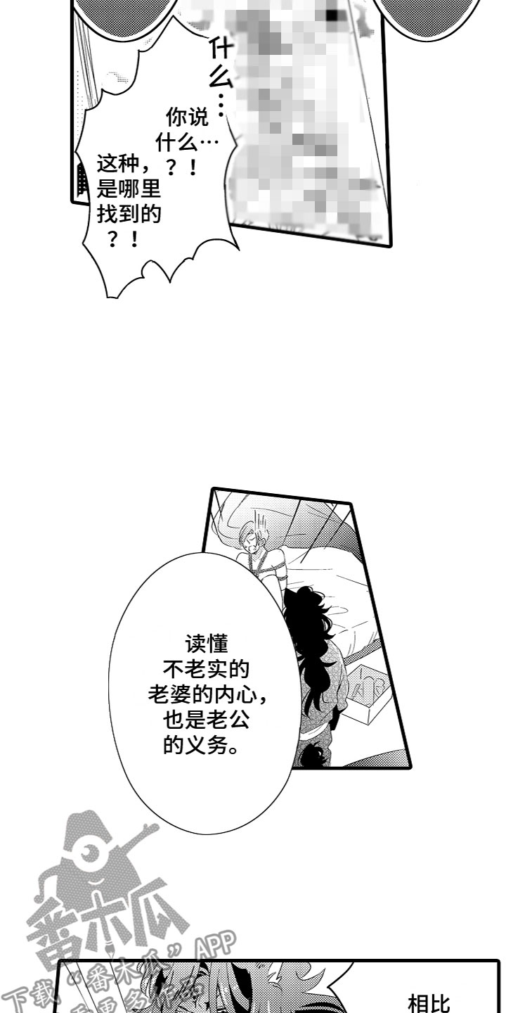 第19章：样子真不错13