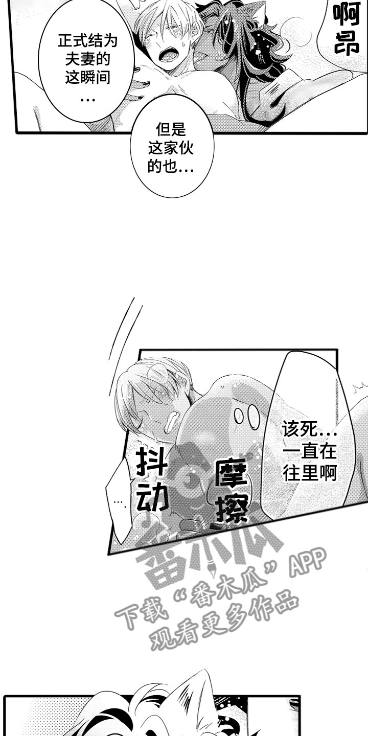 第14章：专属身体9