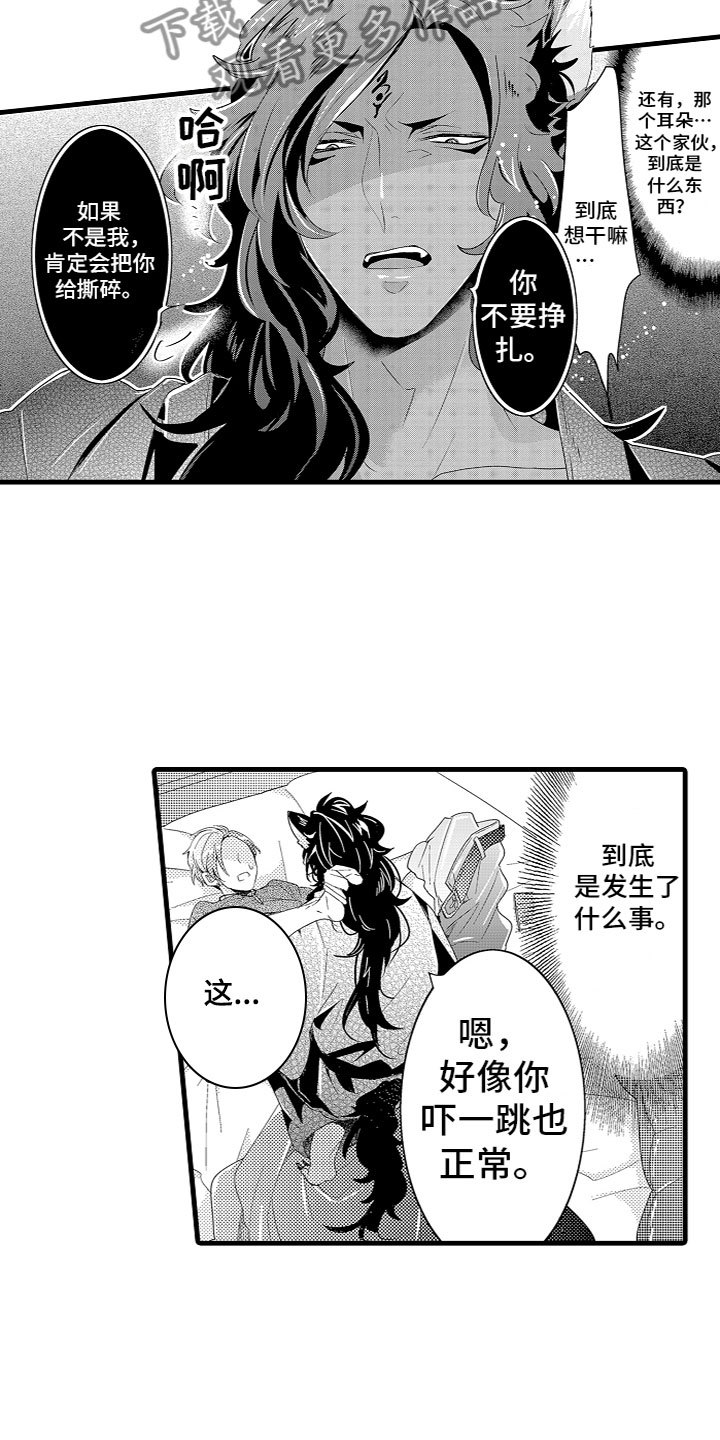 第5章：黑富山的传说5