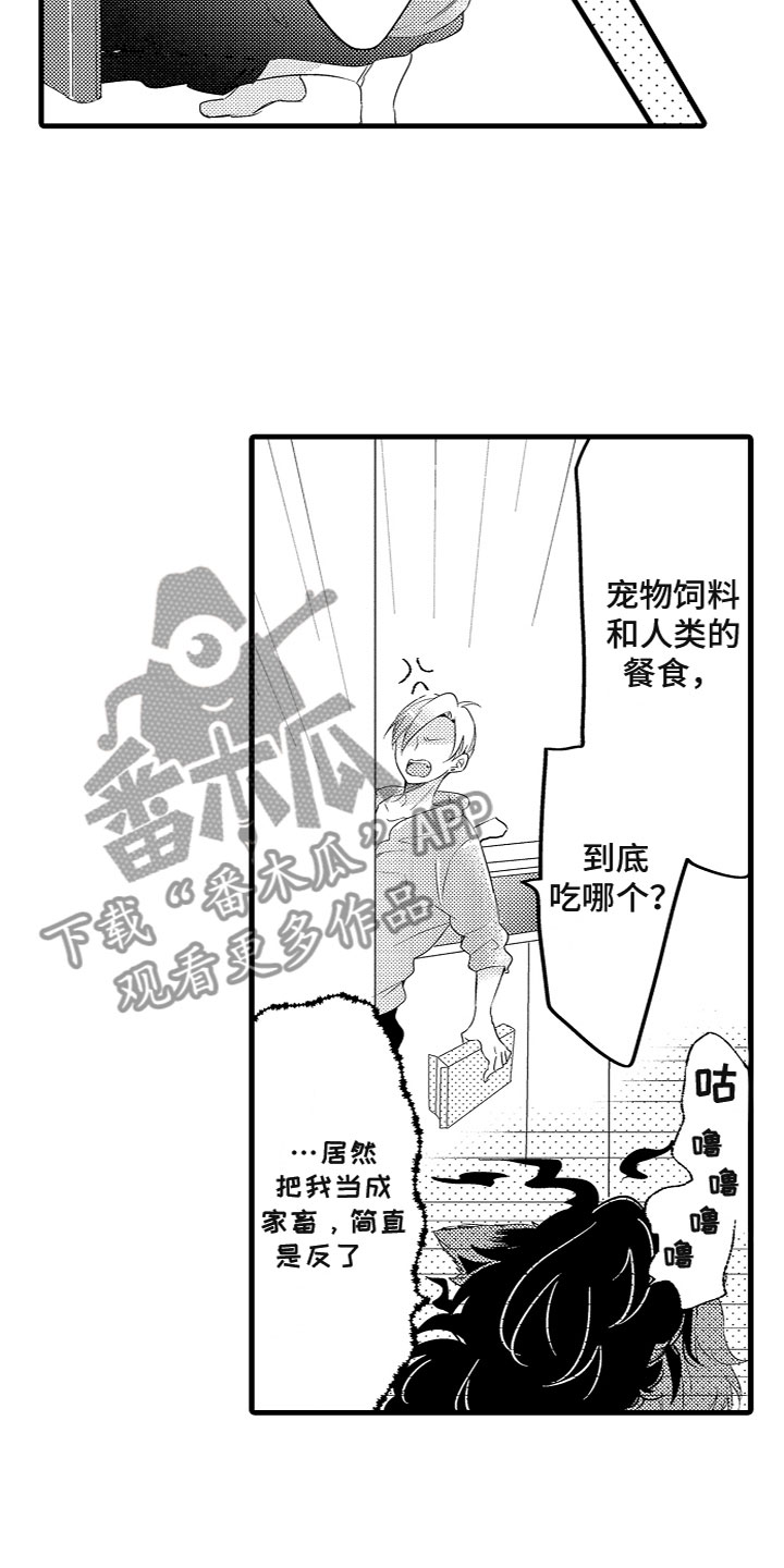 第9章：投喂食物8