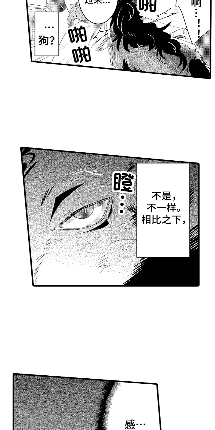第4章：什么情况？！13