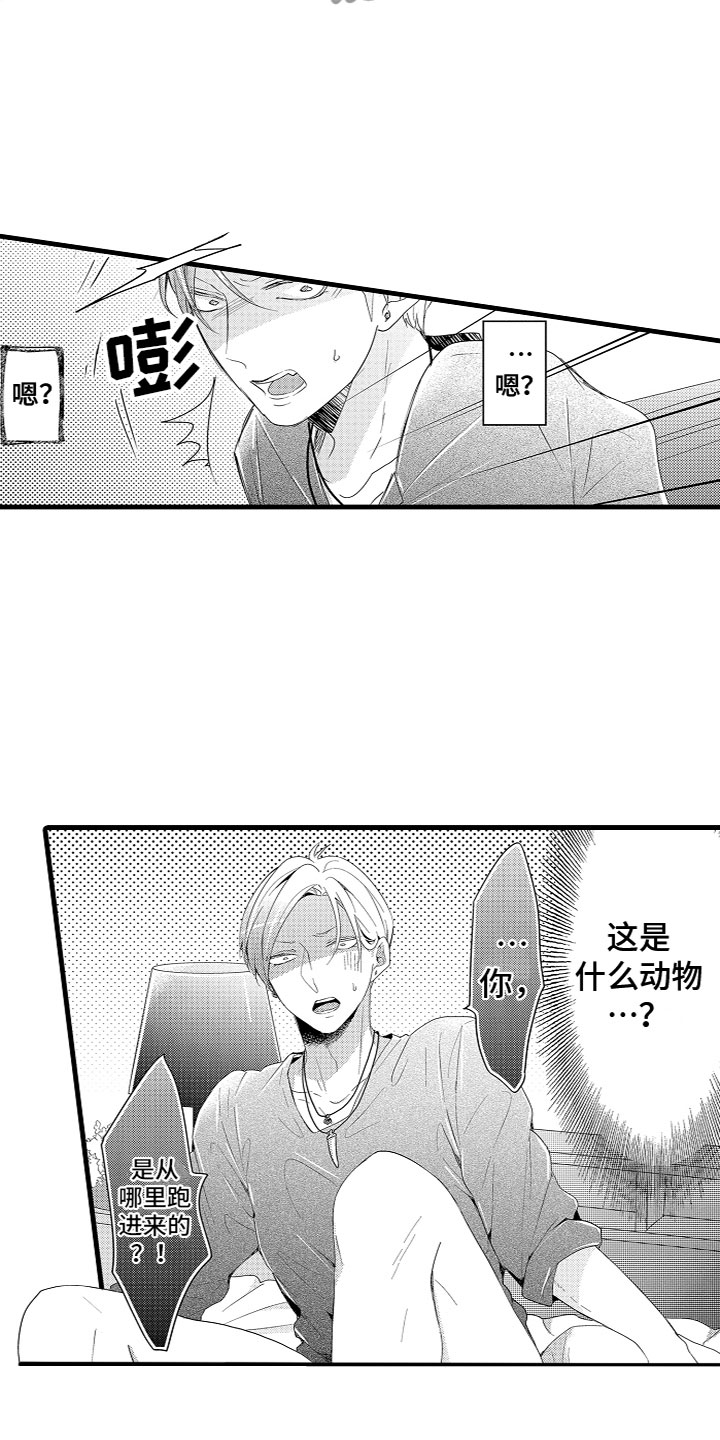 第4章：什么情况？！11