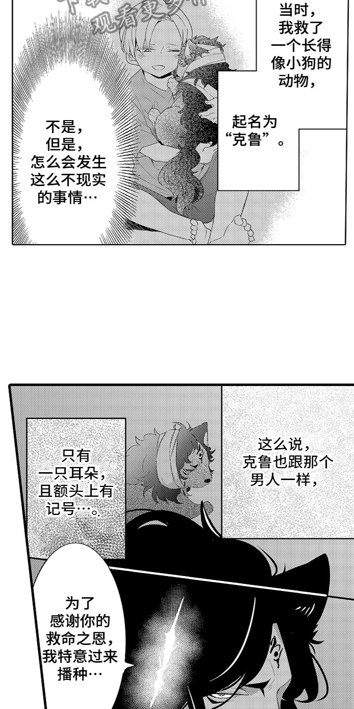 第5章：黑富山的传说11