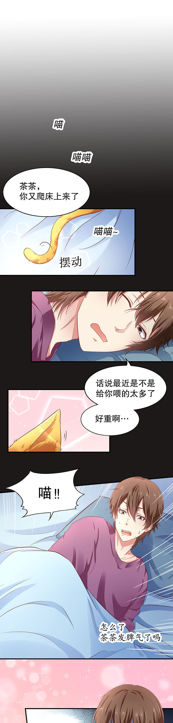 第12章：0