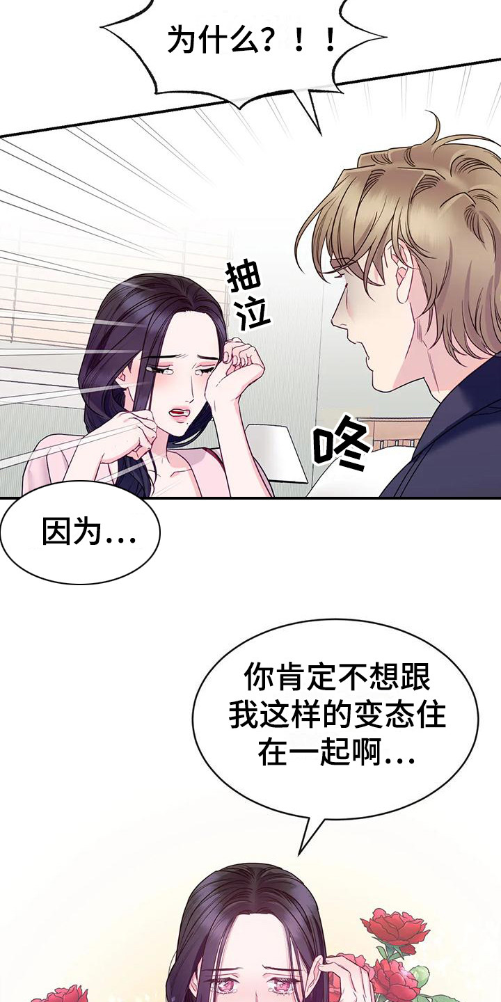 第3章：表白17