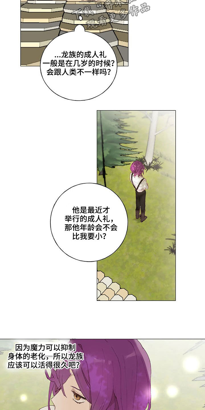 第26章：虚张声势10