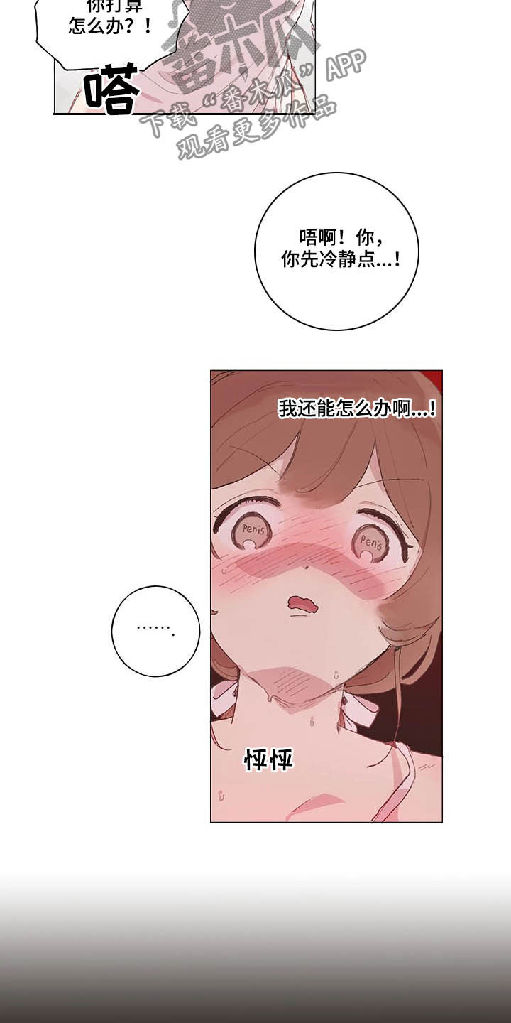 第29章：负责15