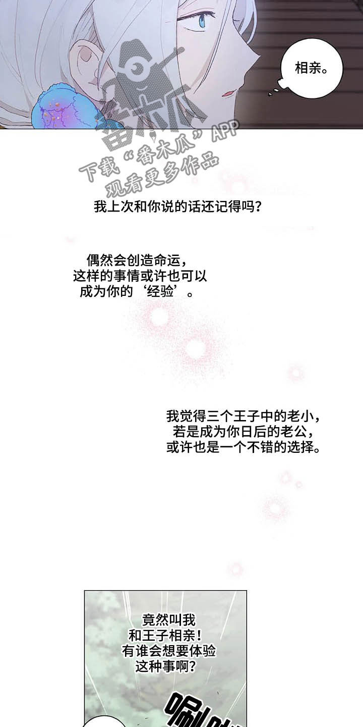 第33章：相亲6