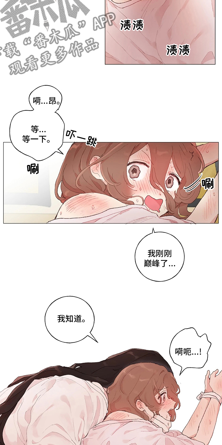 第40章：模型2