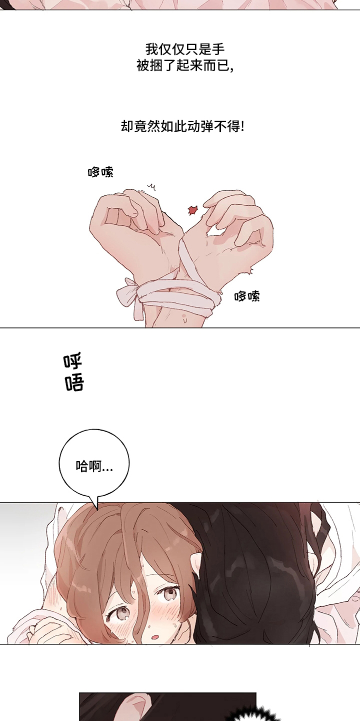 第40章：模型3