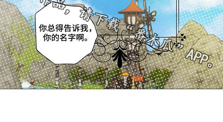 第31章：宠物17