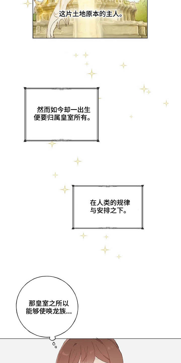第31章：宠物12