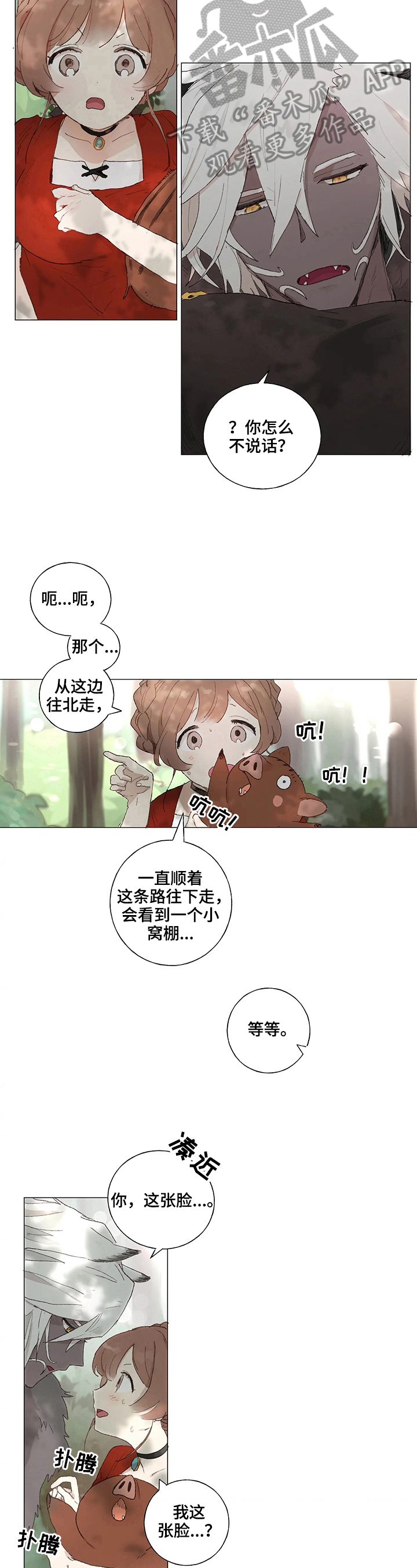 第5章：照片5