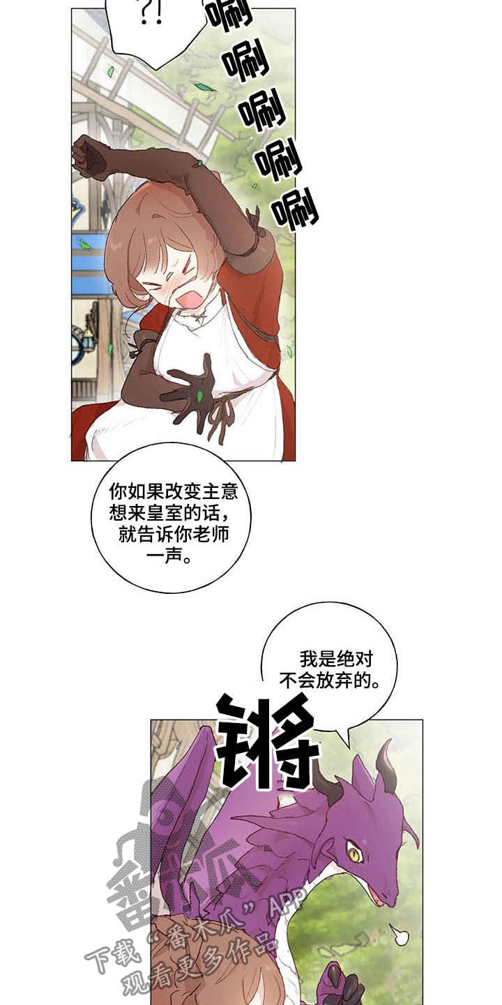 第31章：宠物15