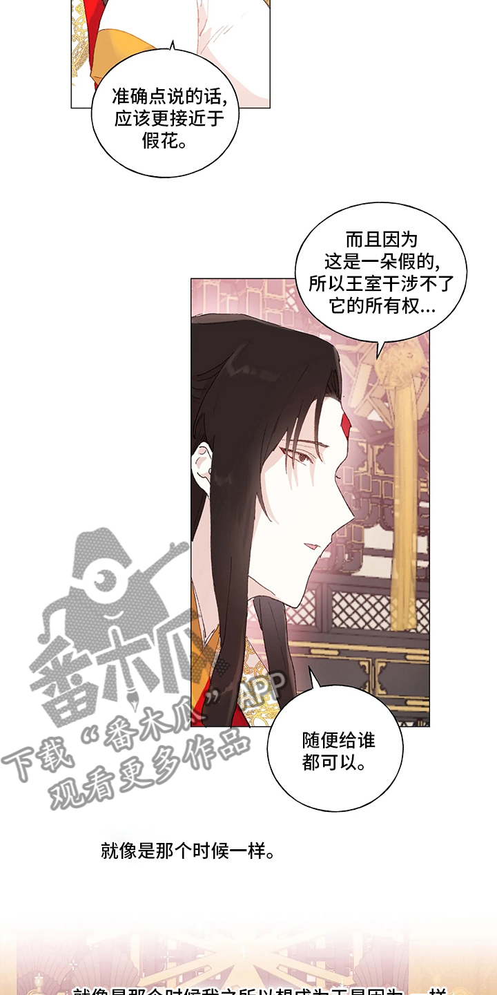 第41章：下次5