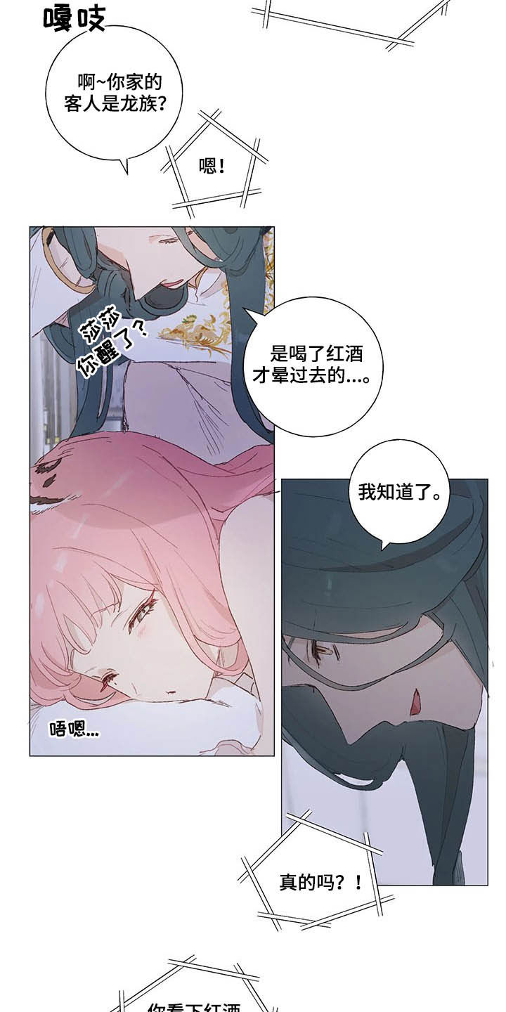 第27章：红酒11