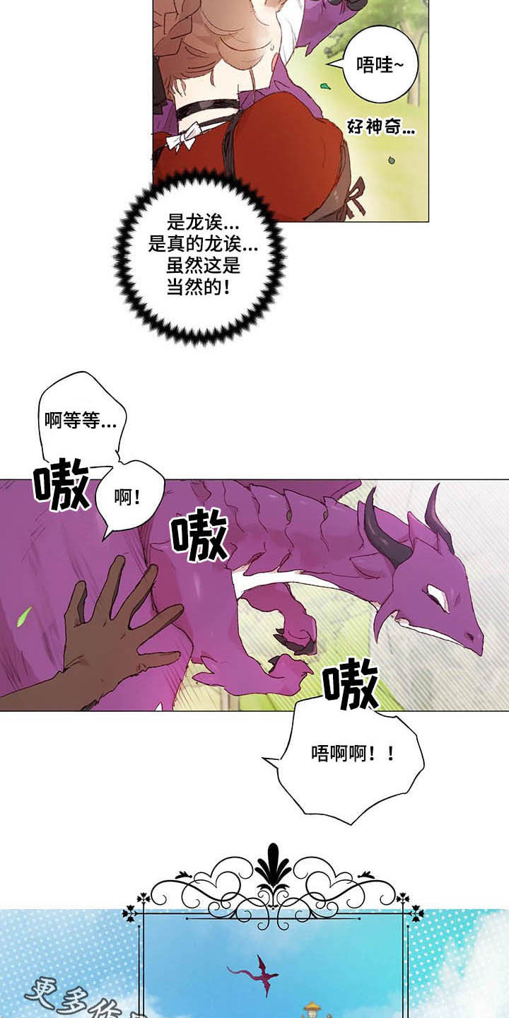 第31章：宠物16