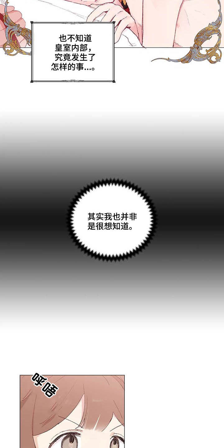 第31章：宠物7