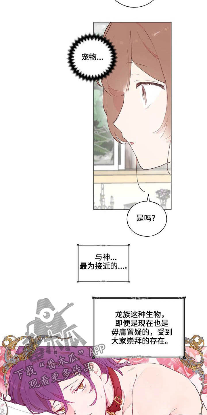 第31章：宠物6