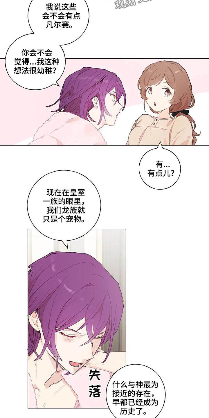 第31章：宠物5