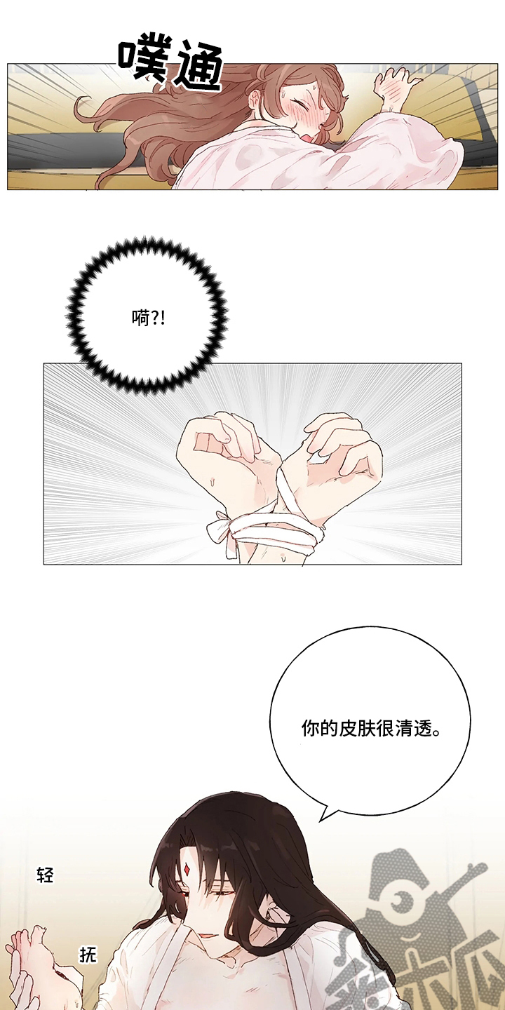 第39章：必须当上王12