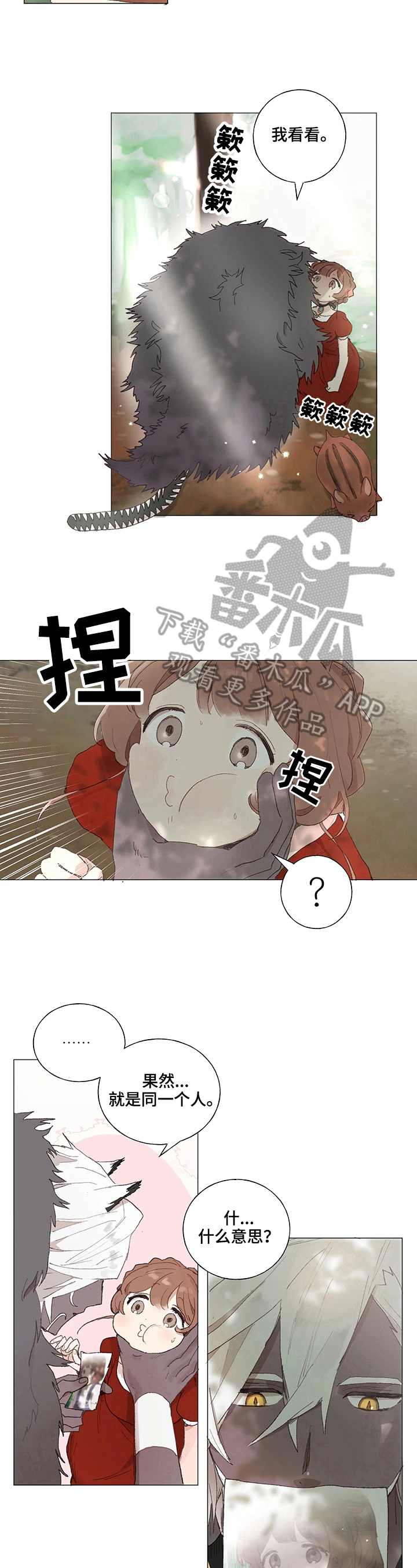 第5章：照片6
