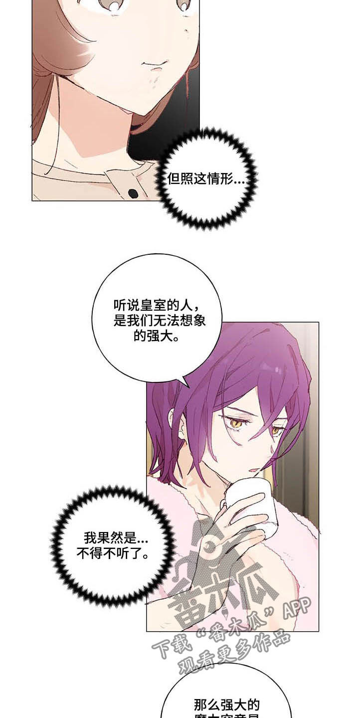 第31章：宠物8