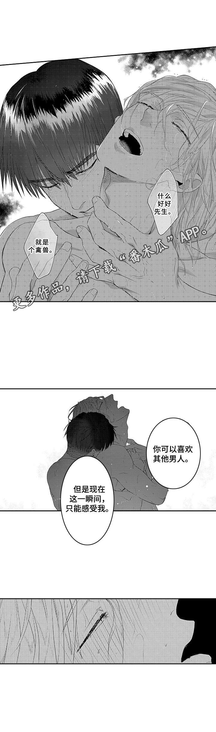 第11章：不是替代品10