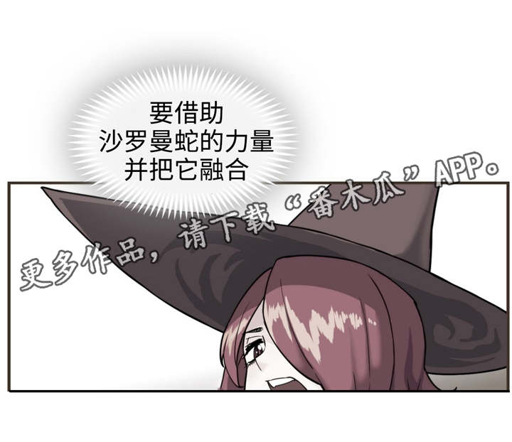 第31章：沙罗曼蛇8