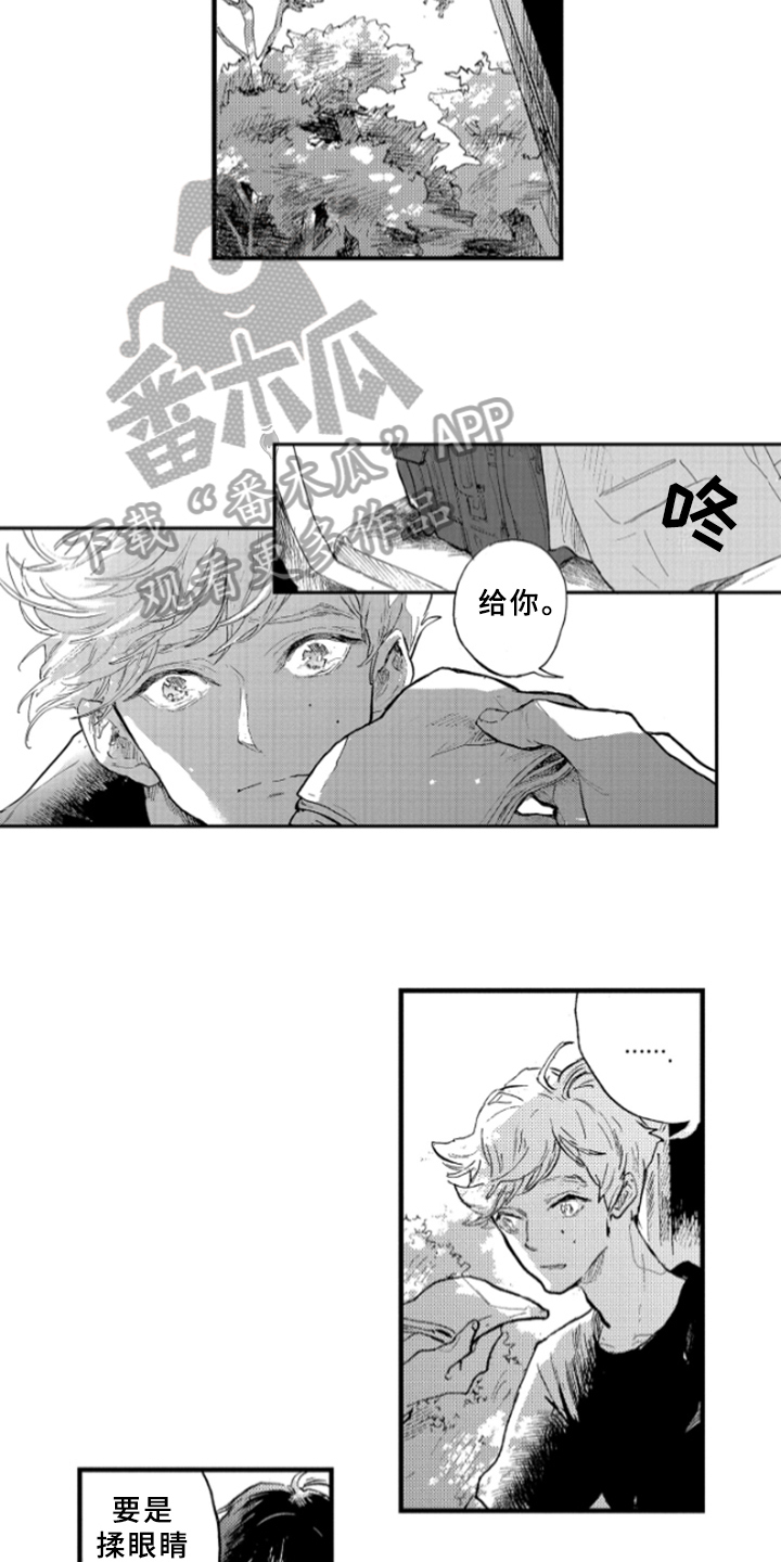 第8章：解释11