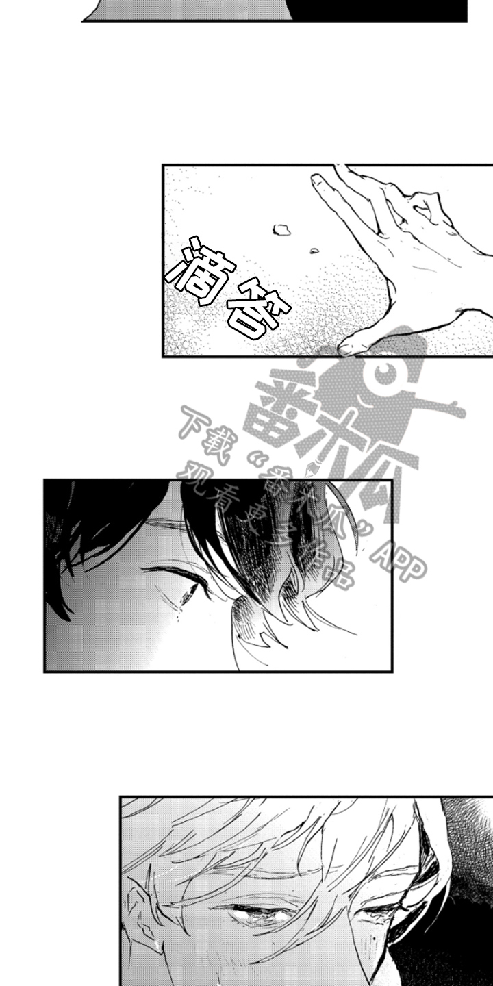 第30章：照片11
