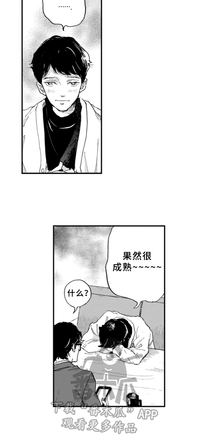 第21章：冲击12
