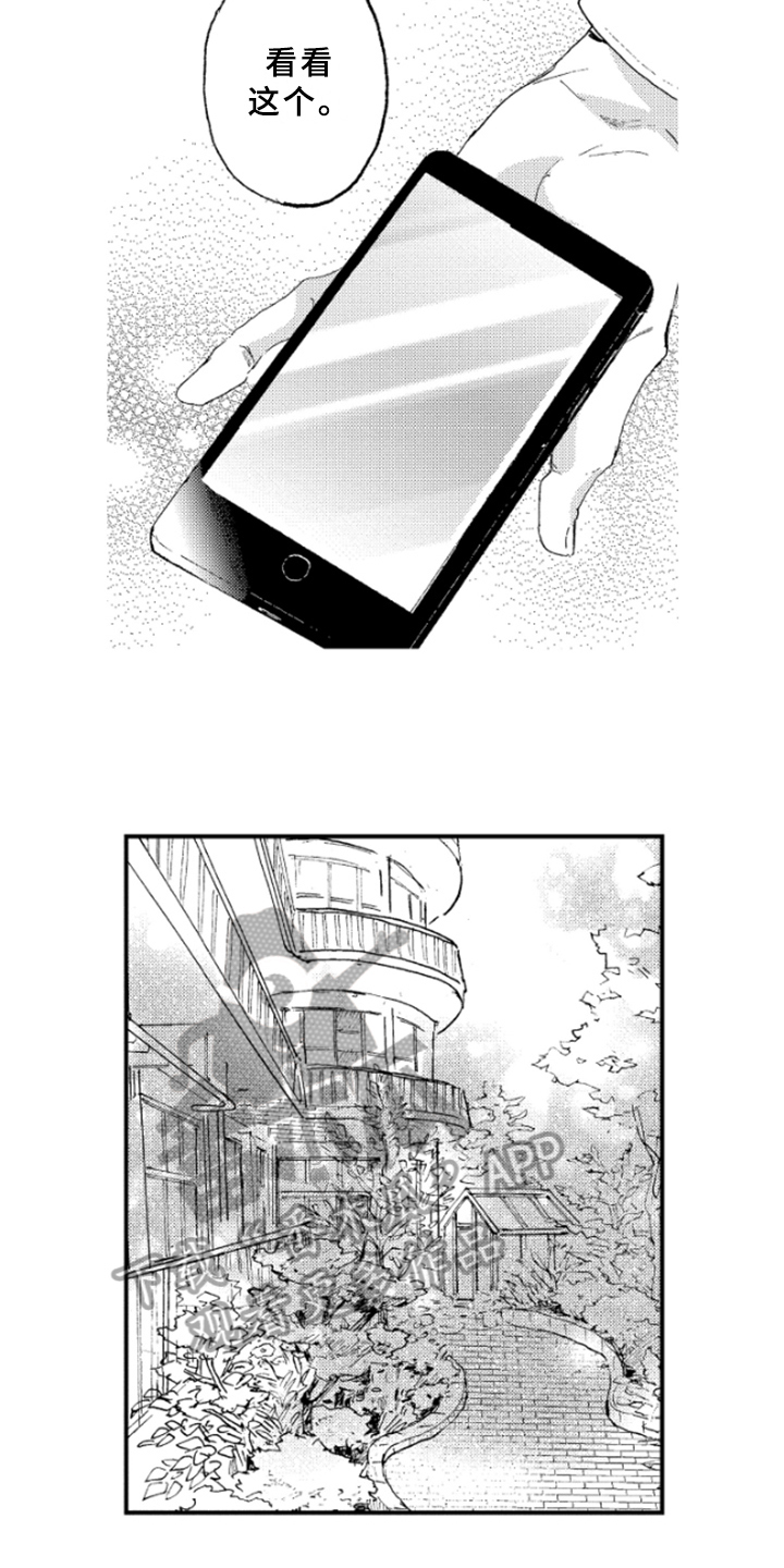 第21章：冲击9