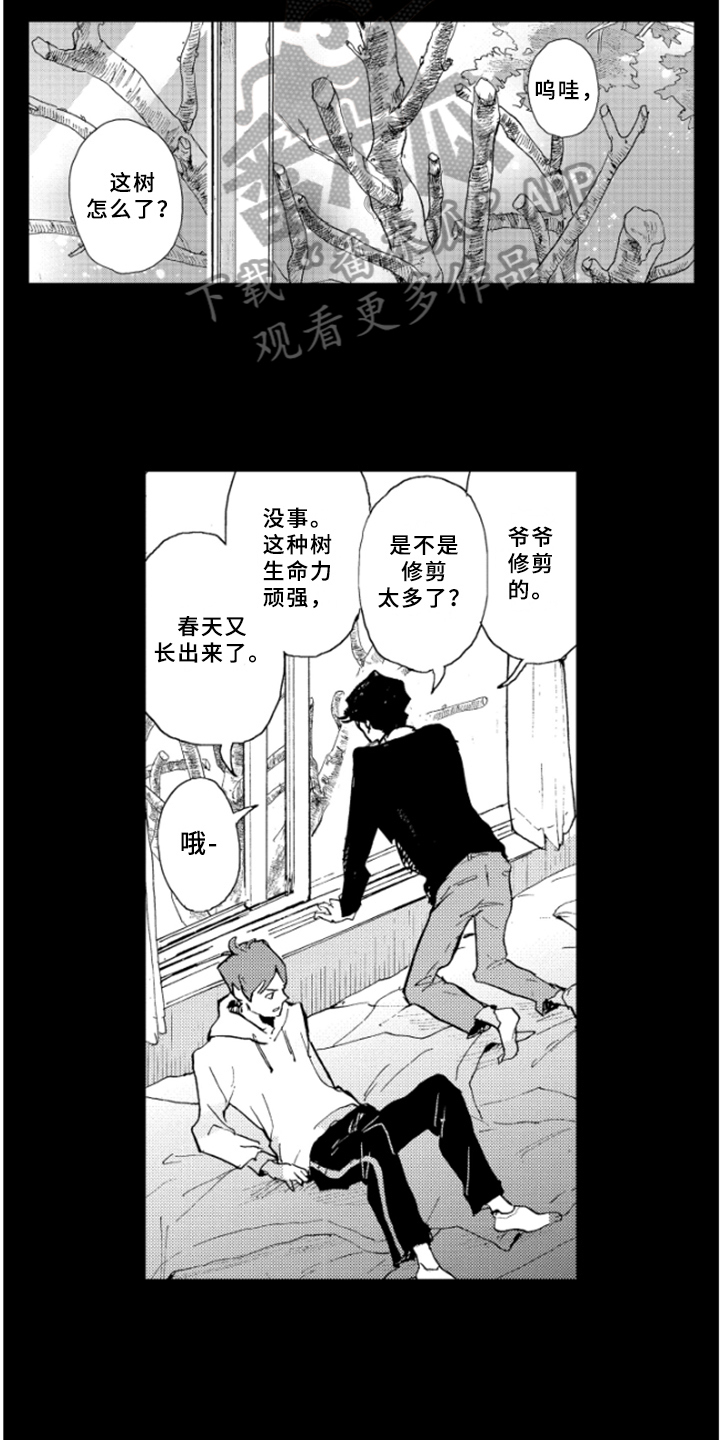 第28章：过去的回忆5