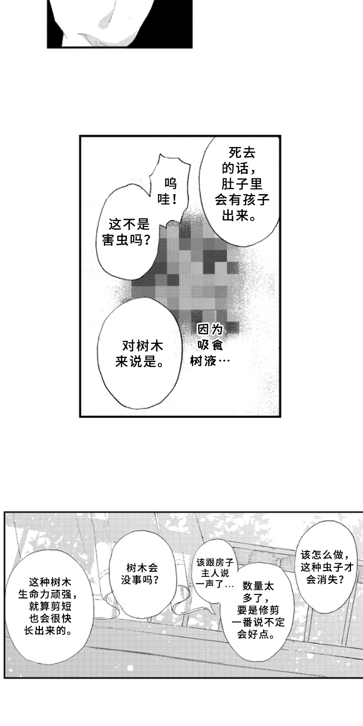 第15章：理解6
