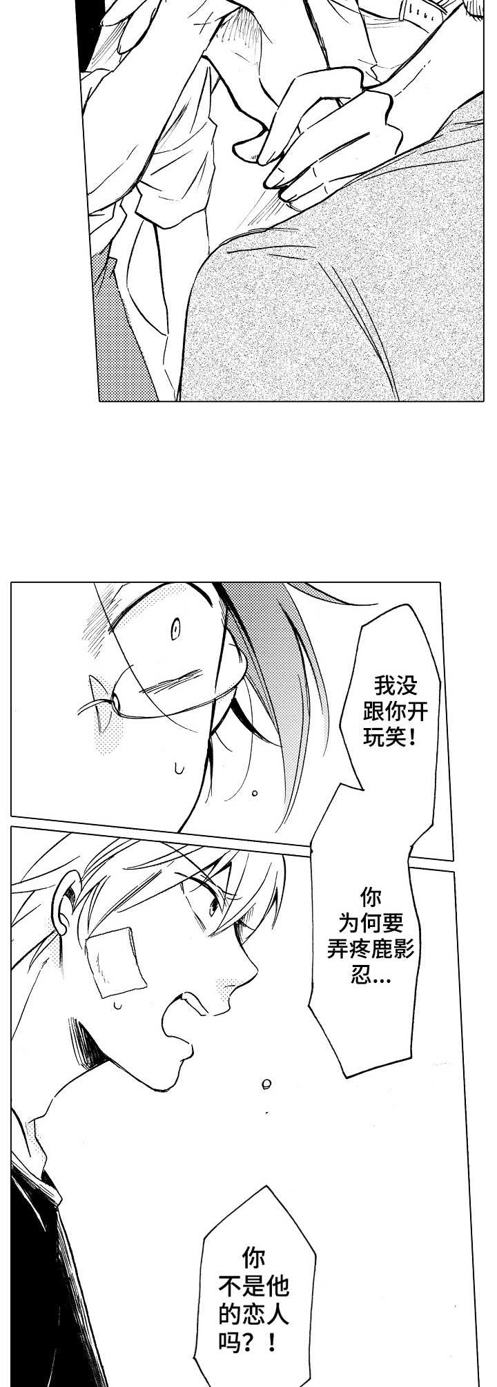 第14章： 替代品11