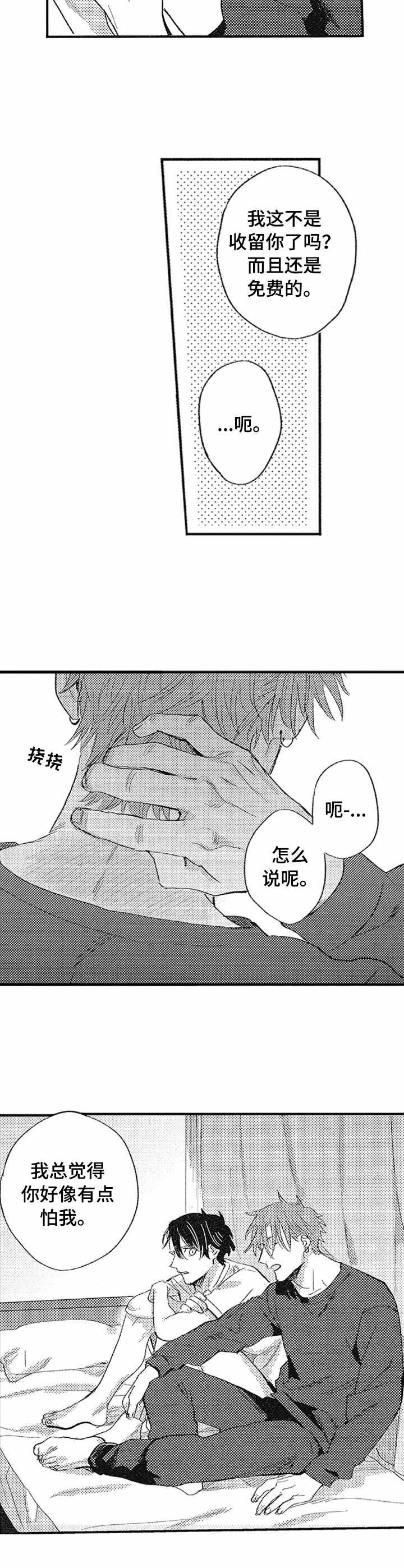 第12章：归属地5