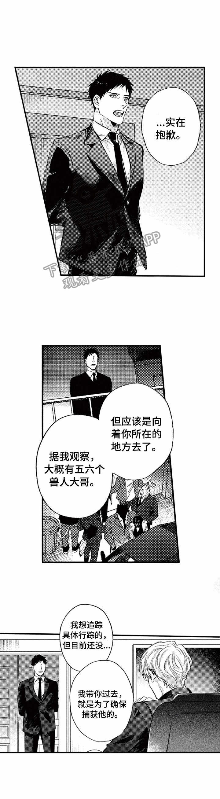 第17章：追捕8
