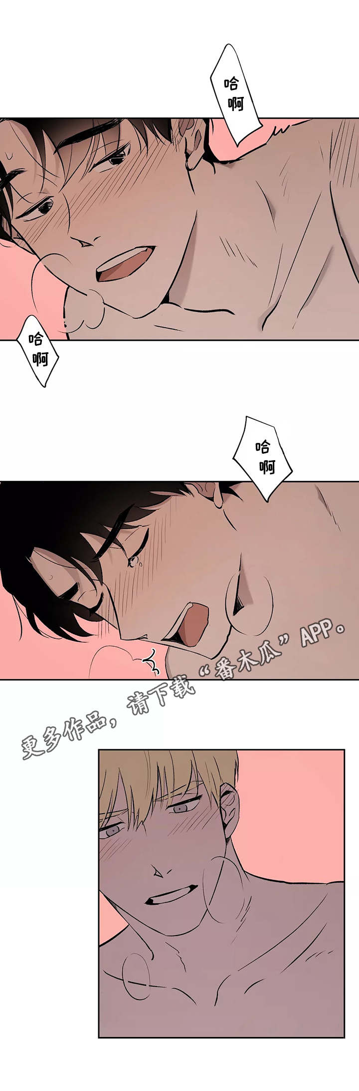 第11章：转变0