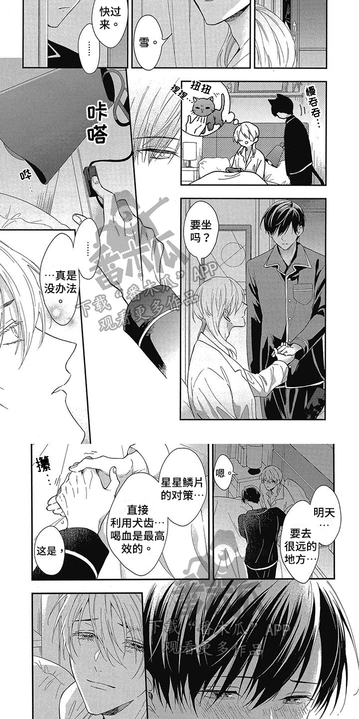 第47章：耀眼的爱情6