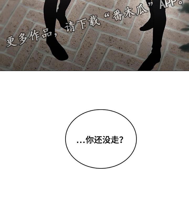 第37章：捉摸不透的男人28
