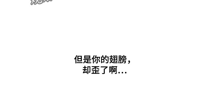 第62章：全新序幕的开始10
