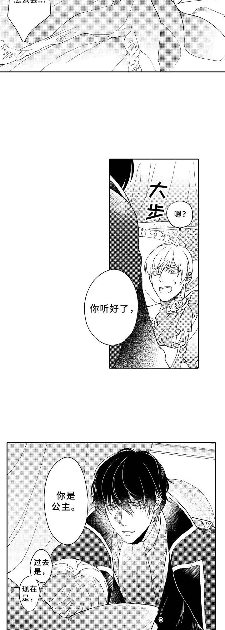 第4章：公主9