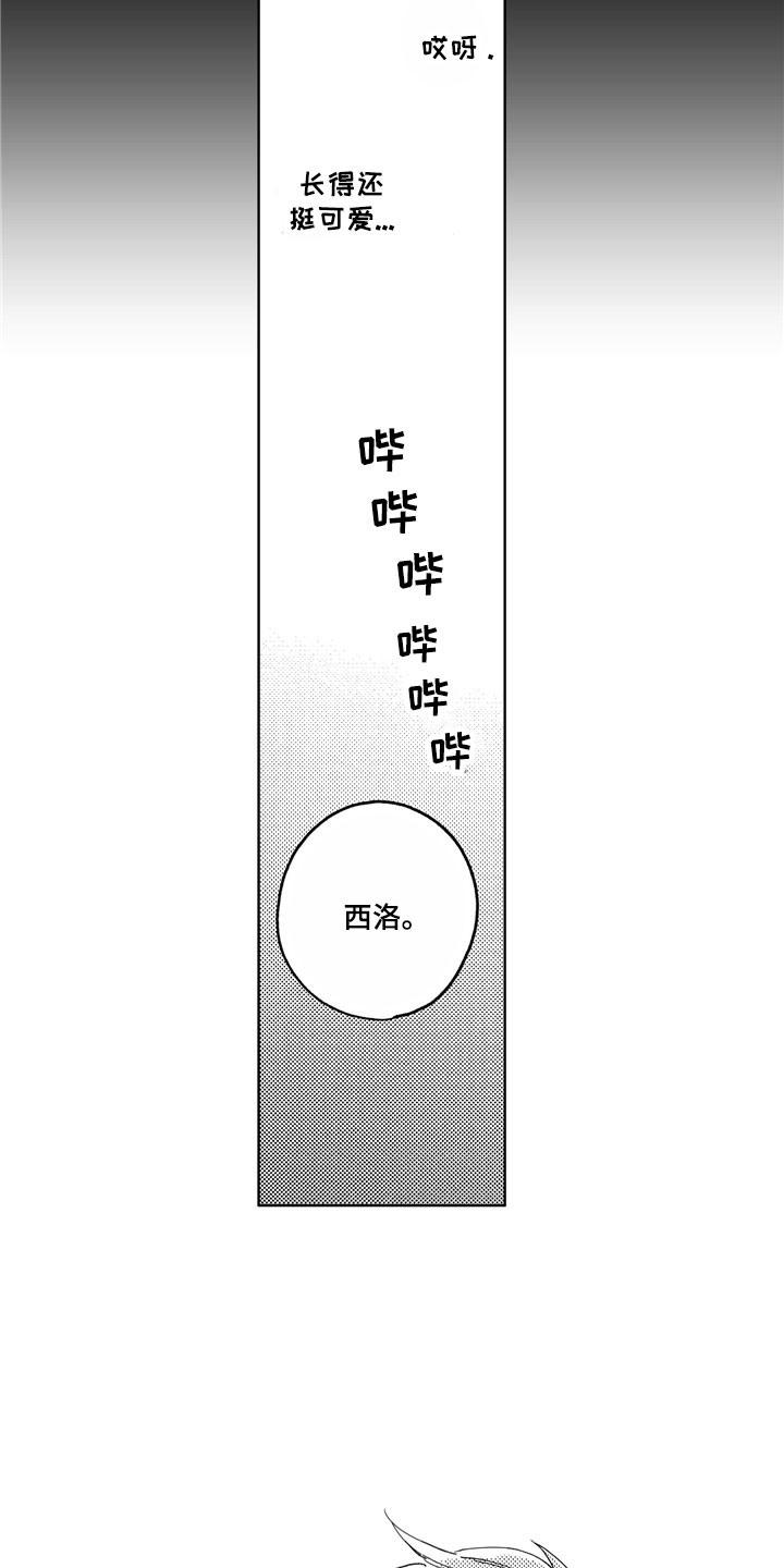 第6章：爱心便当4
